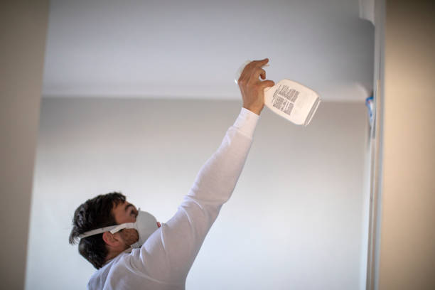 Best Mold Testing and Inspection Services in Ridge, NY